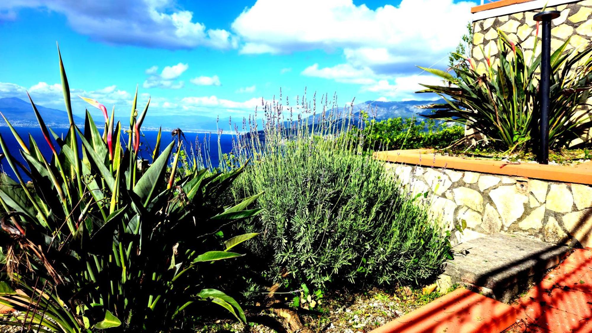 Holiday home Gli Occhi Del Mare Sorrento